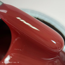 BLOOM   Gel FAST   #10   15мл   Гель для моделирования