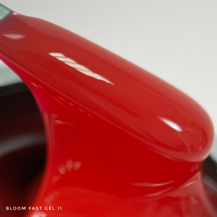 BLOOM   Gel FAST #11   15мл   Гель для моделирования