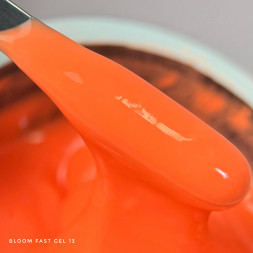 BLOOM   Gel FAST   #13   15мл   Гель для моделирования