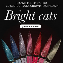 NAIL REPUBLIC   Гель-лак кошачий глаз светоотражающий   10мл   Bright Cats   #681